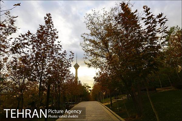 طبیعت پاییزی بوستان فدک 30