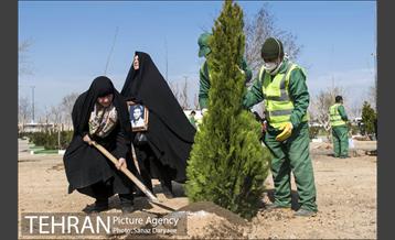 آیین کاشت "درخت ایثار" 31