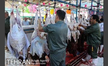 مراکز عرضه بهداشتی دام زنده 6