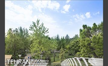 بوستان آزادگان 7