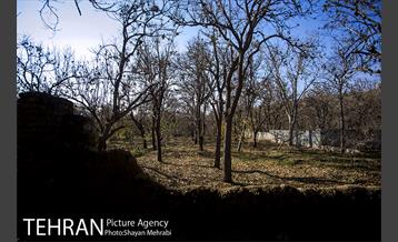 کوچه باغ های محله کن 40