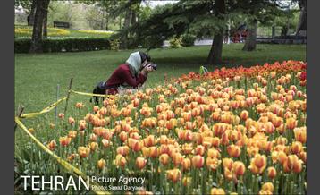 روز تعطیل در بوستان ملت 24