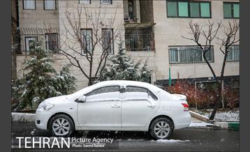 بارش نخستین برف پاییزی در تهران 14