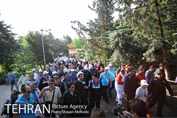 همایش پیاده روی خانوادگی کارکنان شهرداری 3