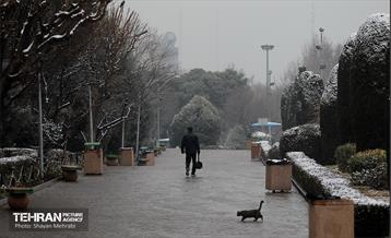 بارش برف در تهران 14