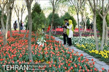 جشنواره لاله‌ها در بوستان زندگی محله هرندی 23