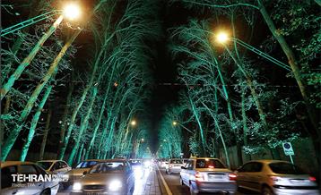 زیبا شهر 2 34