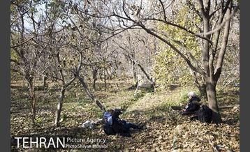 تور عکاسی آژانس عکس تهران در محله کن و سولقان 3