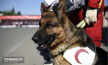 مانور امداد و نجات جمعیت هلال احمر 8