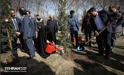 سنت حسنه درختکاری، یادبود شهدای منطقه6