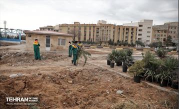 احداث پل غیر همسطح محلاتی