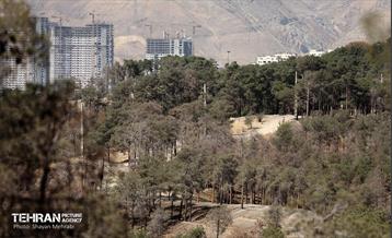 بازدید اصحاب رسانه از روند انجام عملیات احیای چیتگر 15