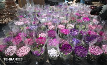 بازار گل شهید محلاتی در آخرین روزهاى سال 42