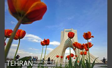 رویش گل های لاله در میدان آزادی 7