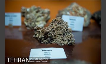 موزه علوم زمین‎ 8