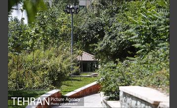 بوستان تندرستی 16