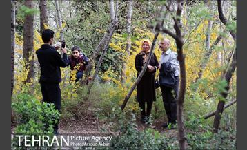 بوستان جمشیدیه در نوروز  19