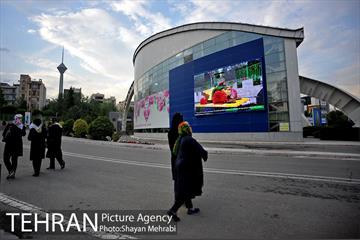 شانزدهمین نمایشگاه بین المللی گل و گیاه تهران - 2 4