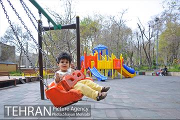 رویش گل های لاله در باغ ایرانی 37