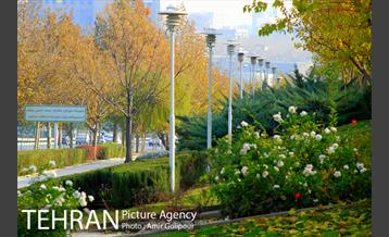 شهرک لاله 15