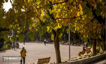 سمفونی رنگ های پاییزی - پارک لاله 28