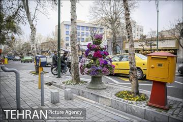 استقبال از بهار در خیابانهای تهران 2