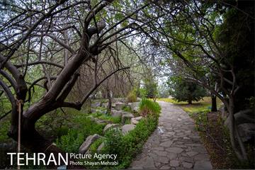 باغ گیاه‌شناسی ملی ایران 15