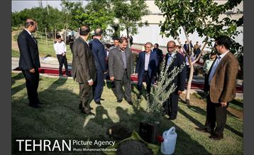 آئین درخت کاری به مناسبت تولد گاندی 12