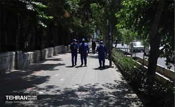 مبارزه با جانوران موذی 4