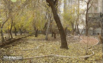 مراحل احداث پروژه ی باغ باهنر 1