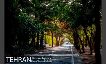 بوستان جنگلی چیتگر 22