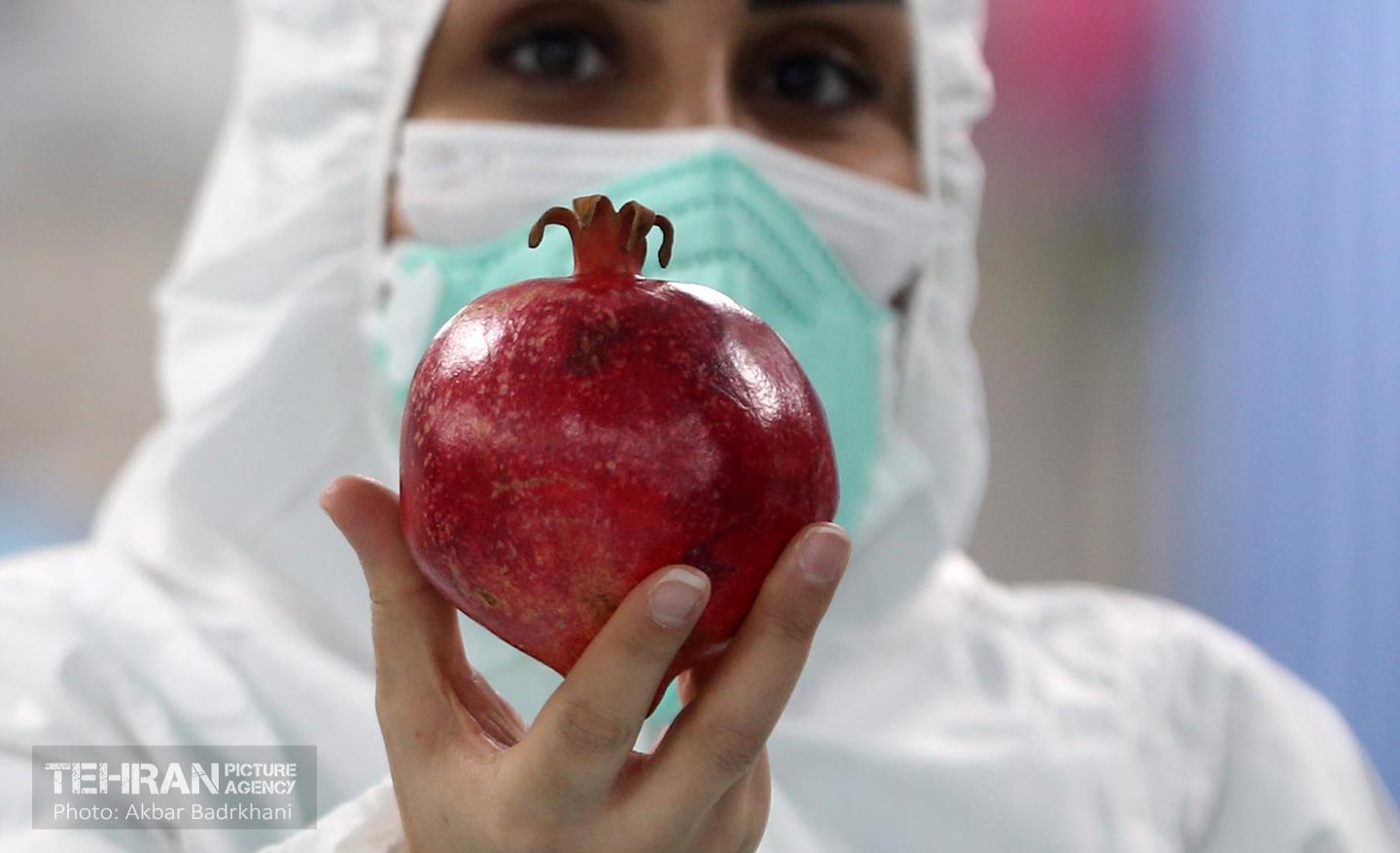 یلدای خدمت 16