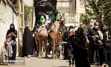 ظهر عاشورا در ده‌ ونک 16