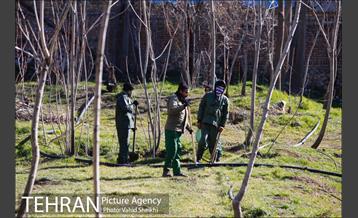 باز آفرینی باغ عبقری منطقه ۲ 2