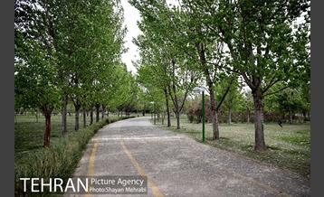 بوستان آزادگان 15