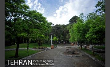 بوستان لاله 7