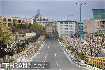 روز طبیعت متفاوت در شهر تهران 2 15