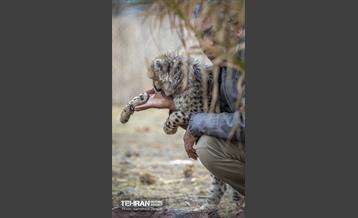 پیروز؛ پسر ایران 28