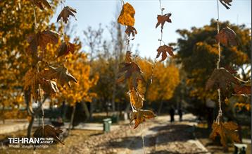 گذرگاه های پاییزی پایتخت - منطقه 9