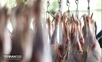 مرکز عرضه دام بهداشتی به مناسبت عید قربان 16