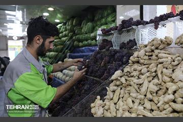 خدمات رسانی بازارهای میوه و تره‌بار 25