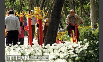 لاله های بهاری بوستان مختاری 9