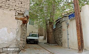 هوای بهاری منطقه 22 25