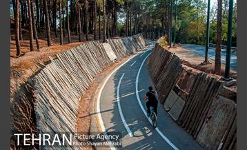 بوستان جنگلی چیتگر 15