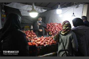 یازدهمین جشنواره صد دانه یاقوت 16