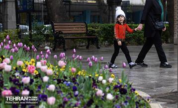 تیتر هوای بهاری تهران 20