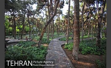 بوستان لاله 30