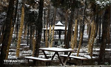 بارش برف زمستانی در بوستان سرخ حصار 2