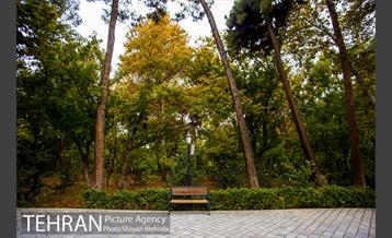 پاییز پارک شهر 24