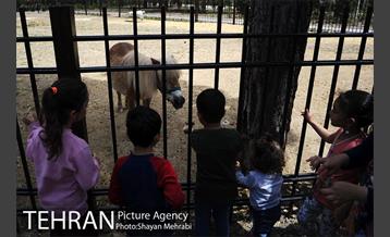 آئین بهره برداری از باغ راز هستی در منطقه 22 27